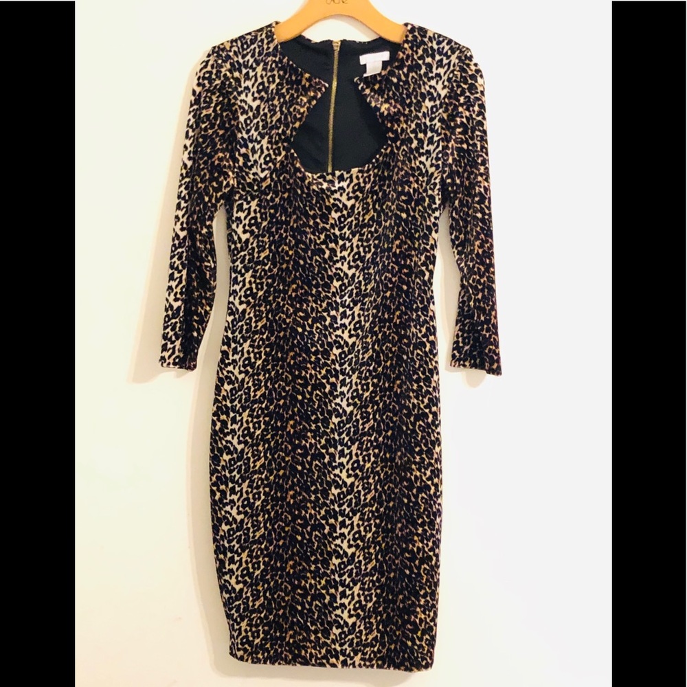 Cache print dress. Like New.